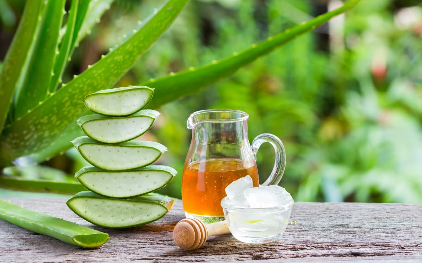 Unabhängiger Distributor von Forever Living Products: Entdecken Sie das Powerpotenzial des Aloe Vera Gel Gelly