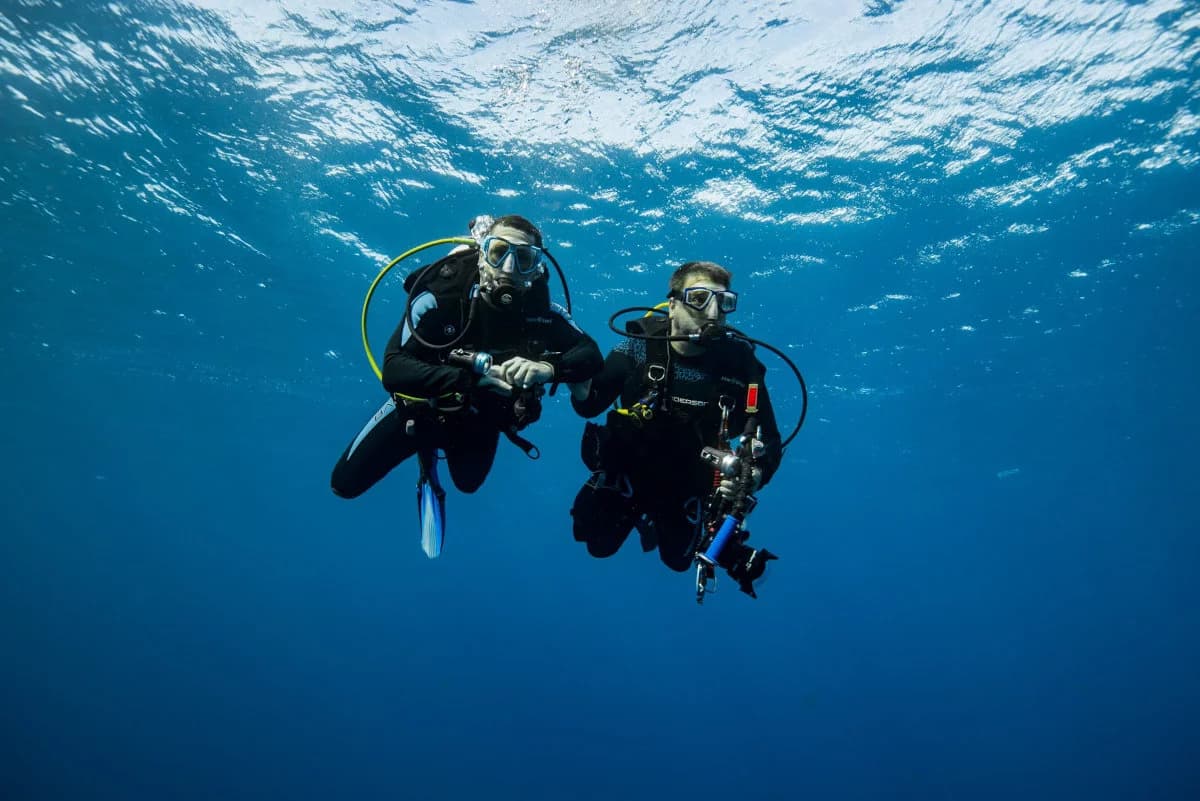 Tauchen für alle: Tauchschule Playa del Carmen macht Träume wahr