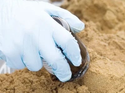 Warum ein Bodengutachten die Grundlage jedes erfolgreichen Bauprojekts ist