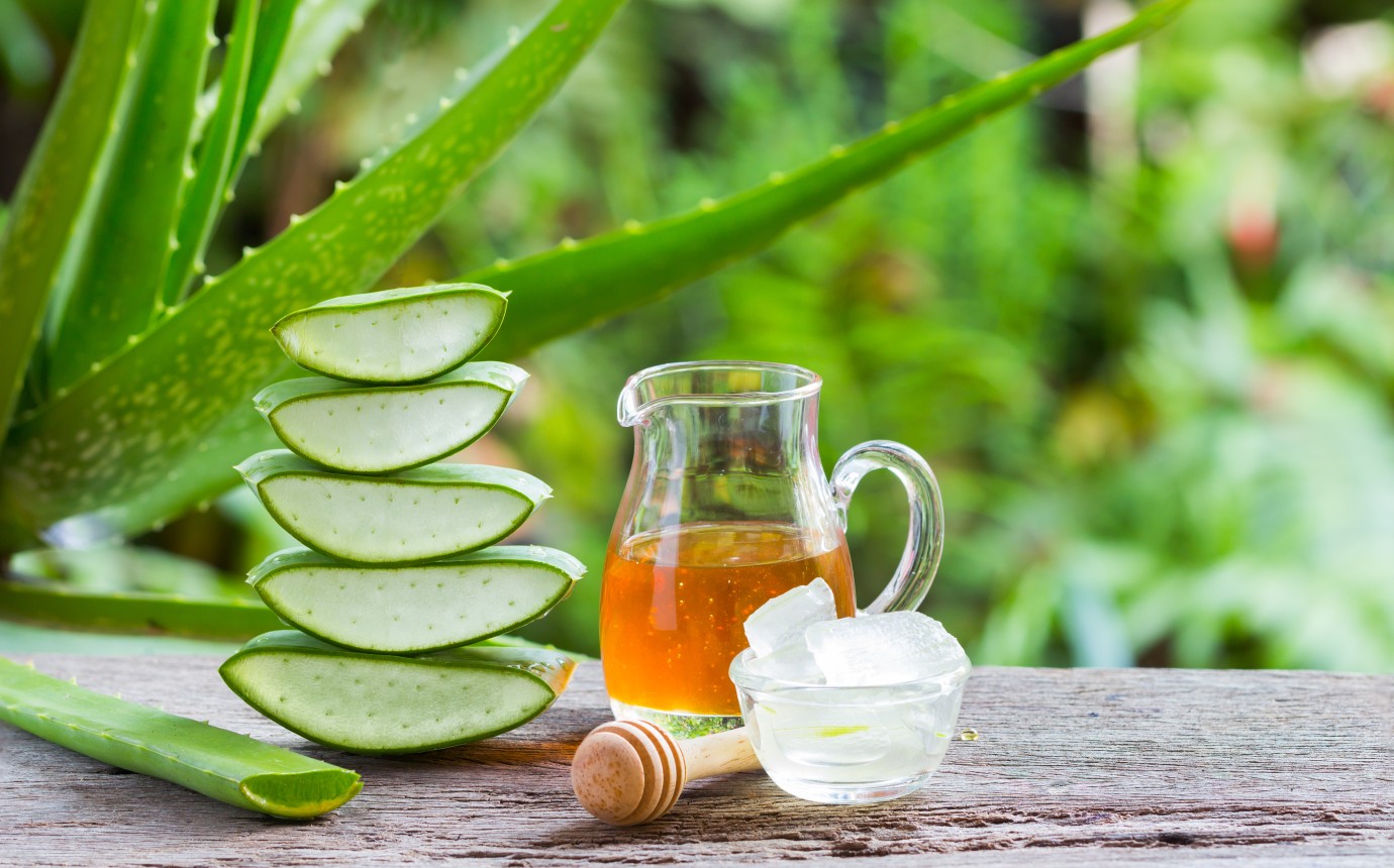 Unabhängiger Distributor von Forever Living Products: Entdecken Sie das Powerpotenzial des Aloe Vera Gel Gelly